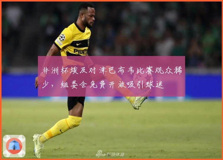 非洲杯埃及对津巴布韦比赛观众稀少，组委会免费开放吸引球迷