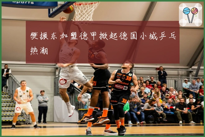 樊振东加盟德甲掀起德国小城乒乓热潮